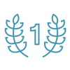 Consuro icons for new site 10pt_awards.png
