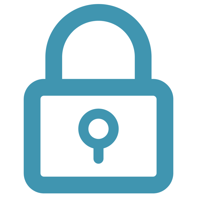securityconcerns.png